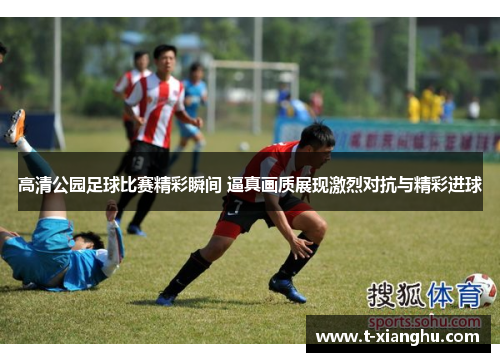 高清公园足球比赛精彩瞬间 逼真画质展现激烈对抗与精彩进球